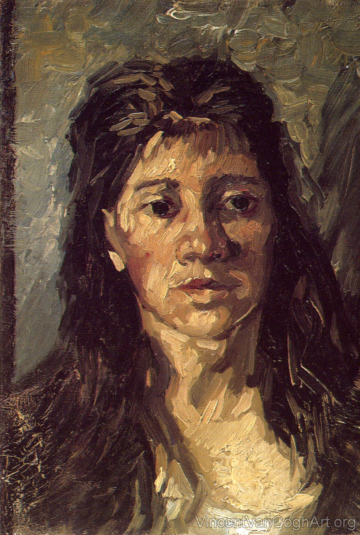 Head of a Woman with Her Hair Loose